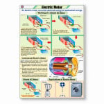Electric Motor